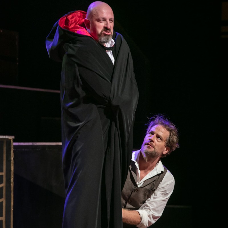 Mozart: Don Giovanni / Leporello | Budapest, Müpa 2021 | Fotó: Csibi Szilvia