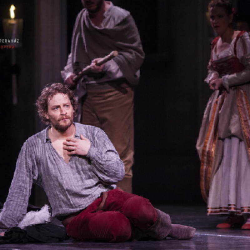 Mozart: Don Giovanni / Leporello | Budapest Erkel Színház 2013 | Fotó: Csibi Szilvia