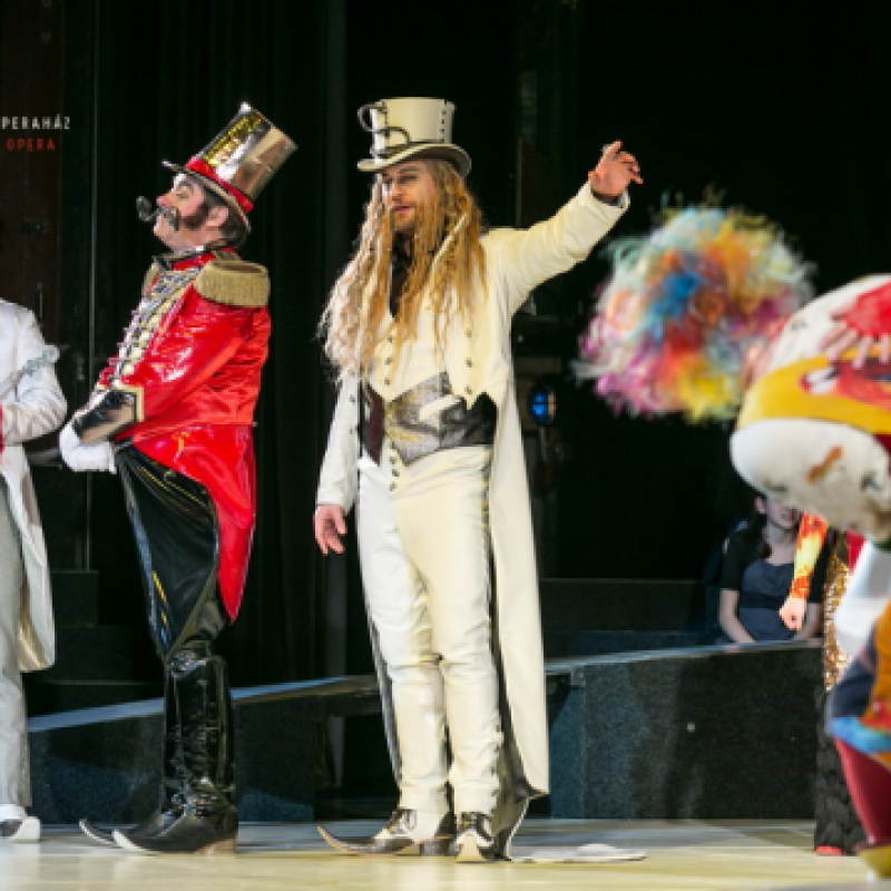 Mozart: Parázsfuvolácska / Sarastro | Budapest, Erkel Színház 2014 | Fotó: Csibi Szilvia