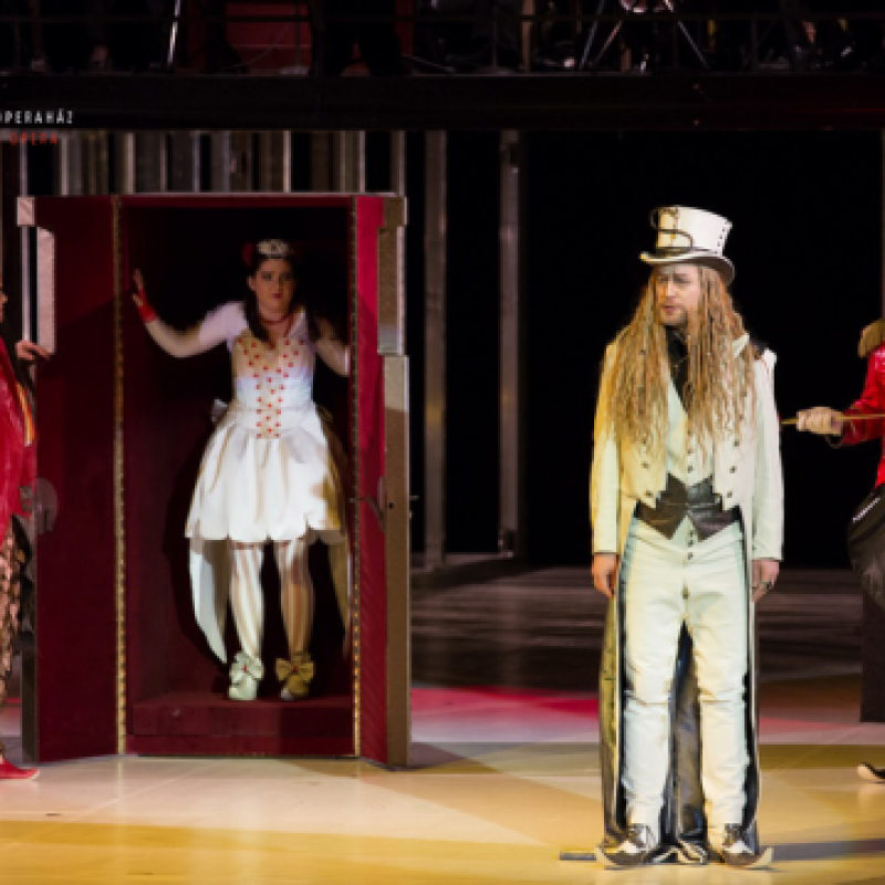 Mozart: Parázsfuvolácska / Sarastro | Budapest, Erkel Színház 2014 | Fotó: Herman Péter
