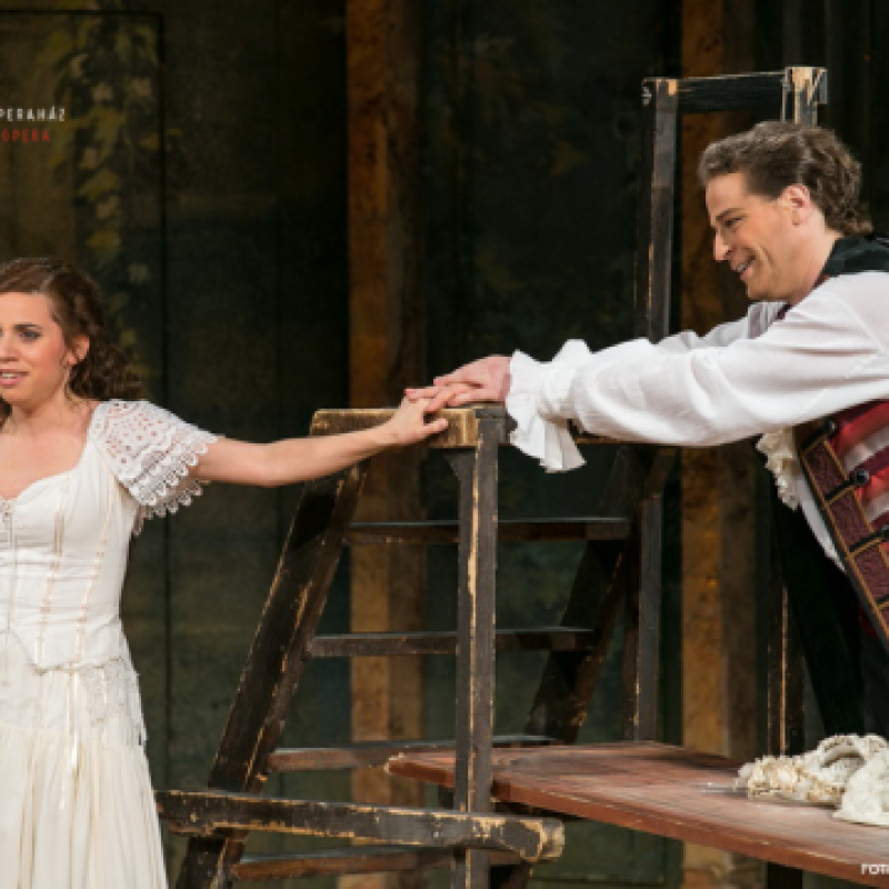 Mozart: Figaro házassága / Figaro | Budapest, Magyar Állami Operaház 2014 | Fotó: Csibi Szilvia