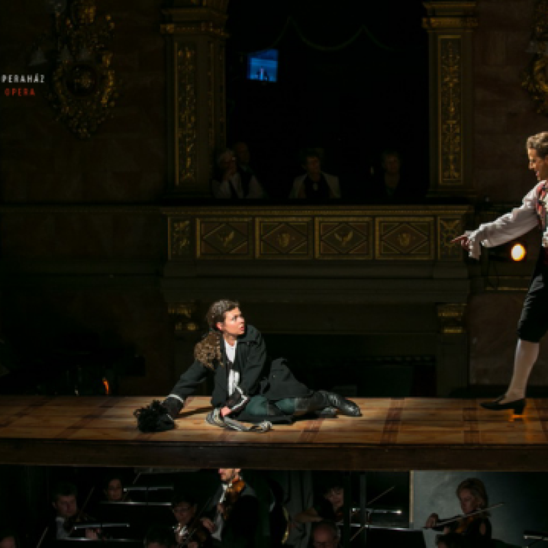 Mozart: Figaro házassága / Figaro | Budapest, Magyar Állami Operaház 2014 | Fotó: Csibi Szilvia