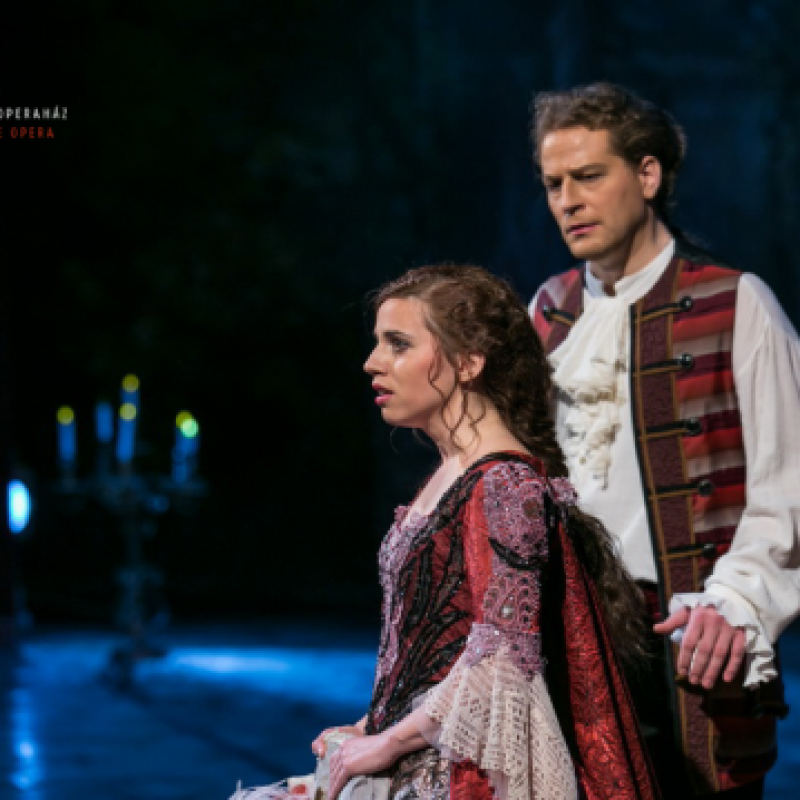 Mozart: Figaro házassága / Figaro | Budapest, Magyar Állami Operaház 2014 | Fotó: Csibi Szilvia