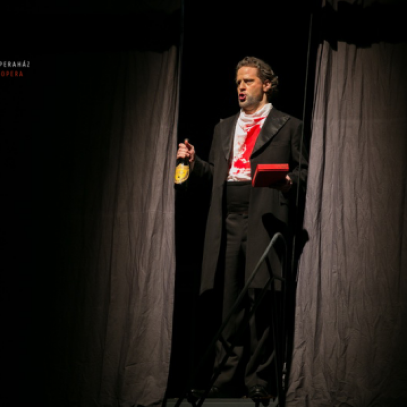 Mozart: Don Giovanni / Kormányzó | Budapest, Primavera Fesztivál '14, Miskolci Nemzeti Színház 2014 | Fotó: Nagy Attila