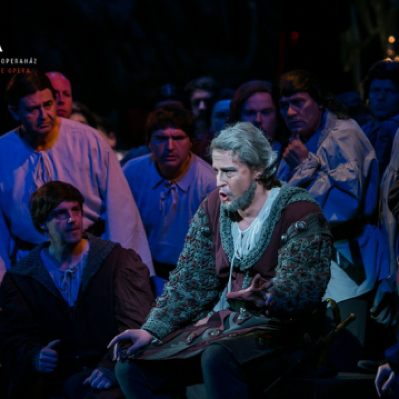 Verdi: A trubadúr / Ferrando | Budapest, Erkel Színház 2014 | Fotó: Nagy Attila
