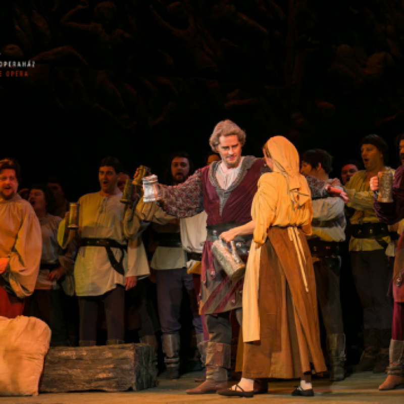 Verdi: A trubadúr / Ferrando | Budapest, Erkel Színház 2014 | Fotó: Nagy Attila