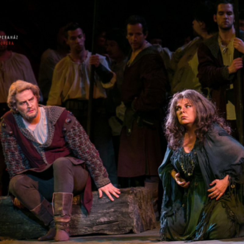 Verdi: A trubadúr / Ferrando | Budapest, Erkel Színház 2014 | Fotó: Nagy Attila