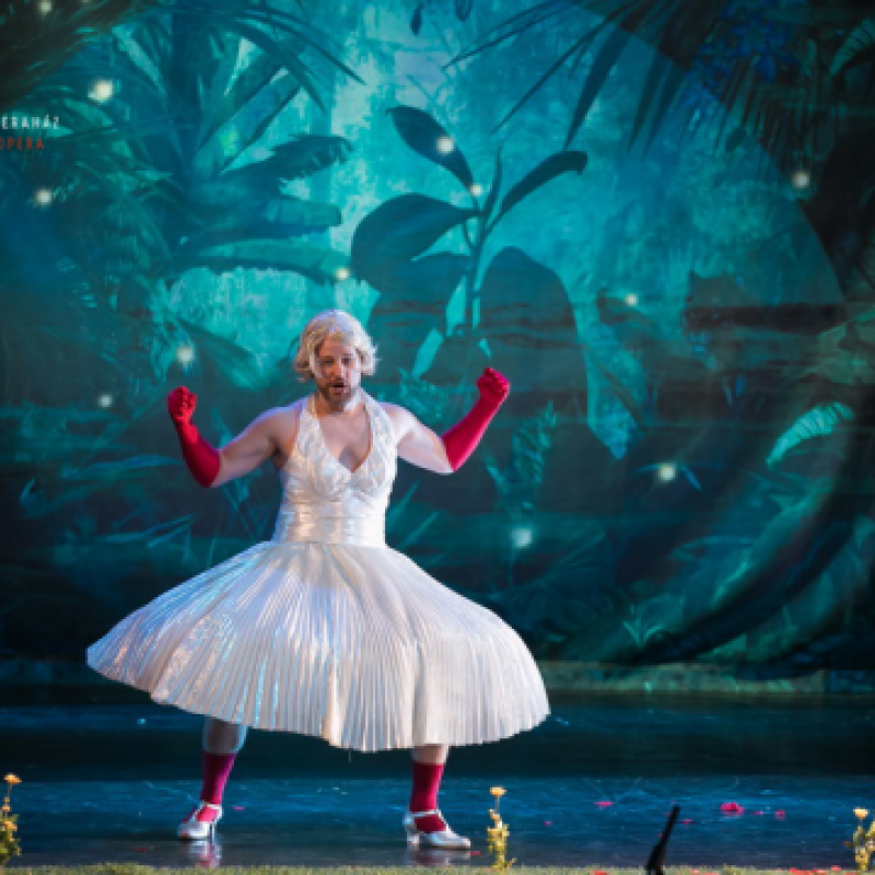 Mozart: Figaro 2.0 / Figaro | Szeged, Gördülő Opera 2015 | Fotó: Nagy Attila