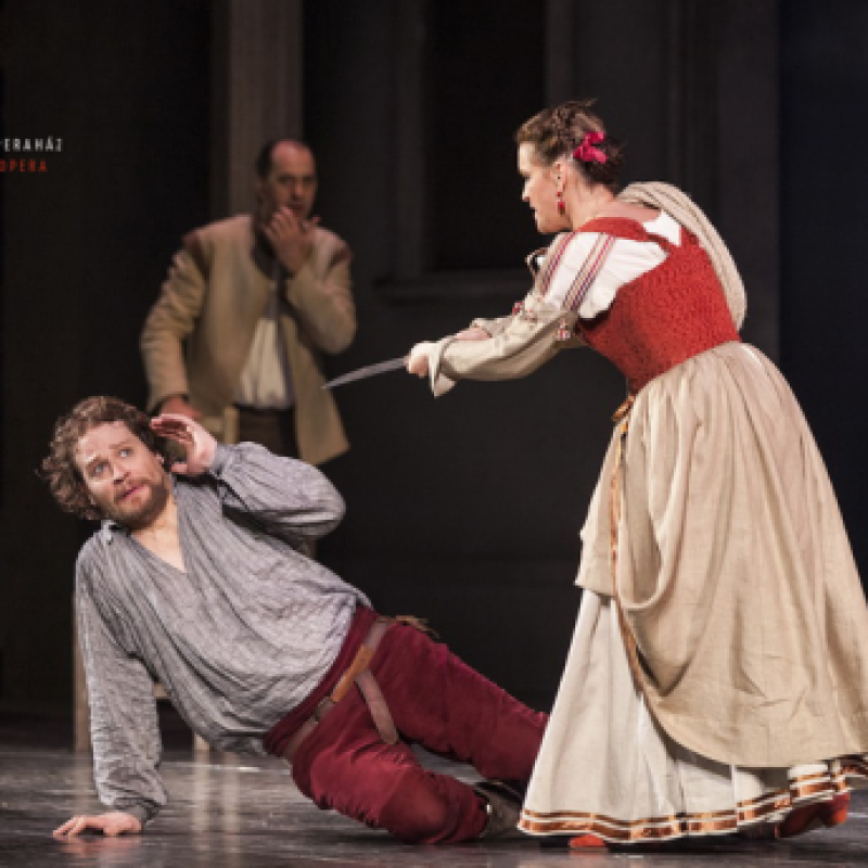 Mozart: Don Giovanni / Leporello | Budapest Erkel Színház 2013 | Fotó: Csibi Szilvia