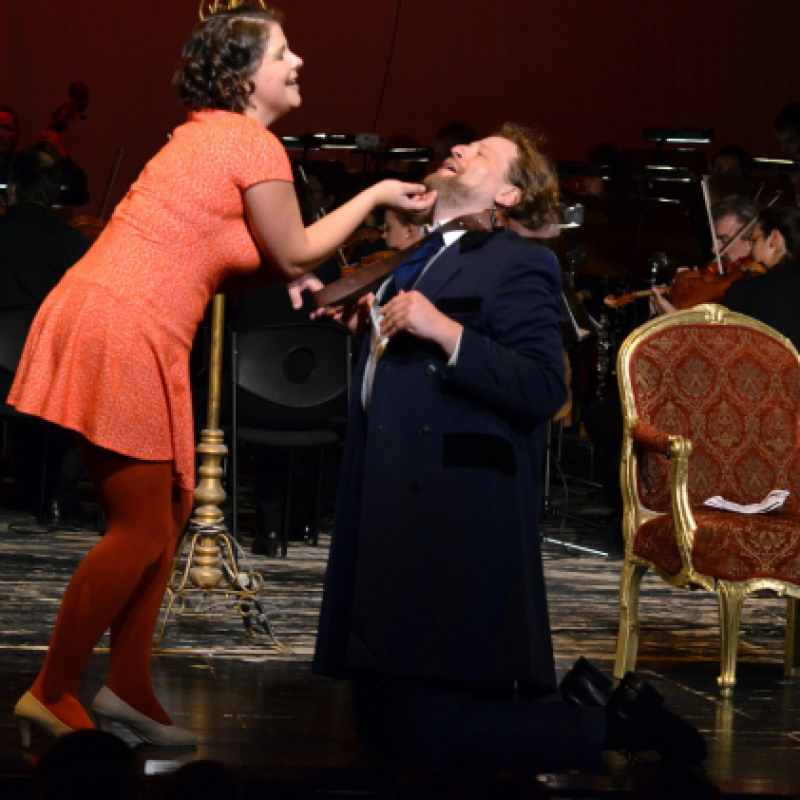 Mozart: Operácska - Figaro házassága / Almaviva gróf | Miskolc, Miskolci Nemzeti Színház 2014